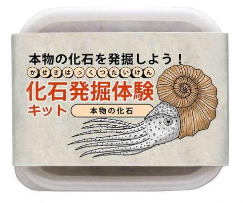 本物!化石発掘体験