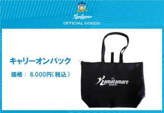 キャリーオンバック