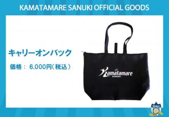 キャリーオンバック